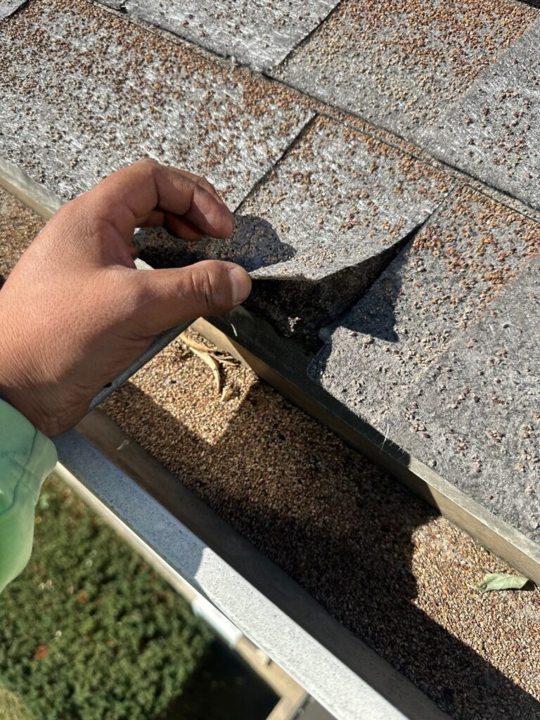 Close-up of a gutter filled with loose granules from roof shingles, indicating potential roof damage or wear.