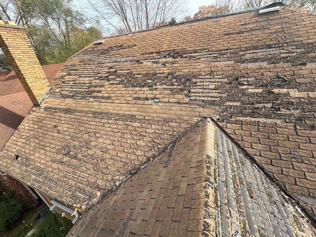 Side view of a sagging roof deck with visible dips and an uneven surface, indicating potential structural damage.